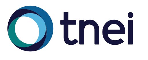 TNEI Consultancy